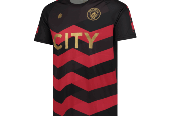 The Rise and Triumph of Manchester City FC