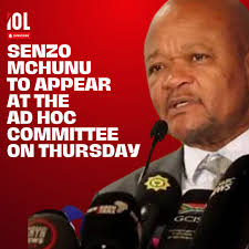 Overview of the Senzo Mchunu Ad Hoc Committee’s Role
