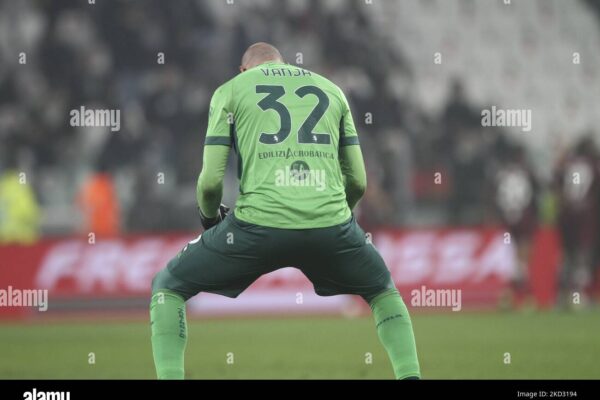 Exploring the Legacy and Future of Torino FC