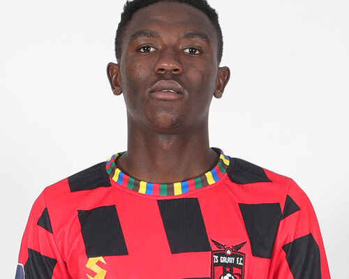 The Rise of TS Galaxy FC in South African Football