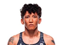 The Rise of Virna Jandiroba in the MMA World