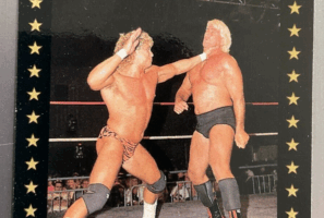 Understanding the World Cube Association (WCWC)