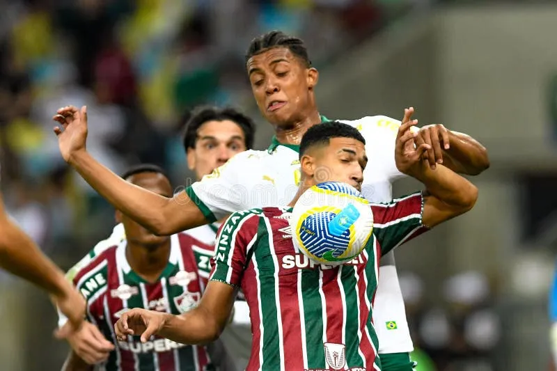 palmeiras vs fluminense — ZA news