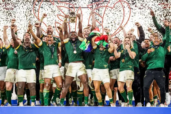 springboks — ZA news