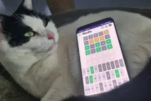 today wordle hints — ZA news