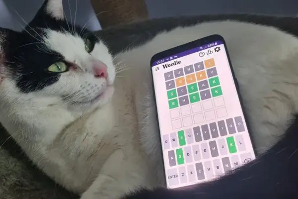 today wordle hints — ZA news