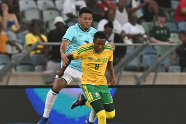 bafana bafana vs panama — ZA news