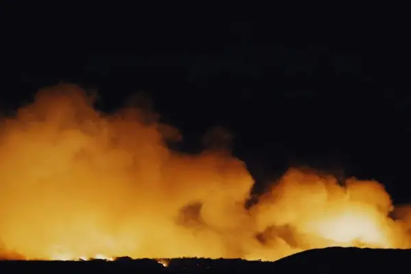 botha sigcau — ZA news