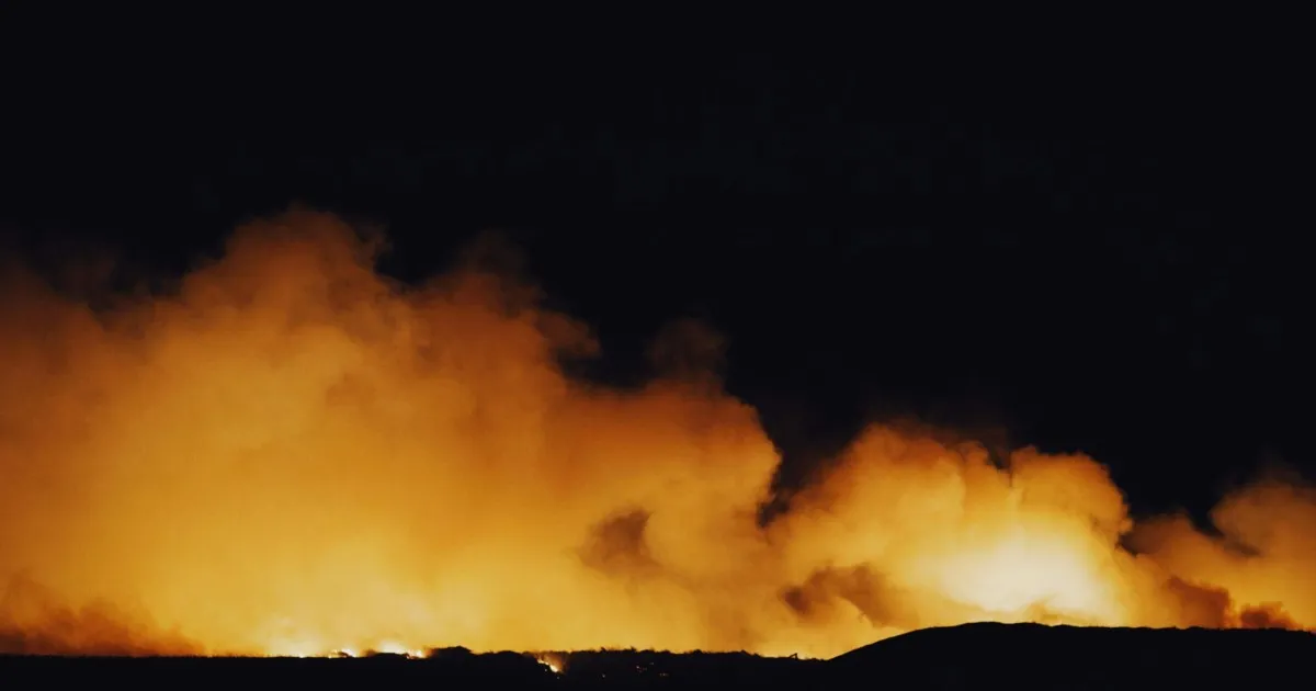 botha sigcau — ZA news