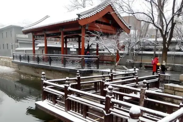 court online — ZA news