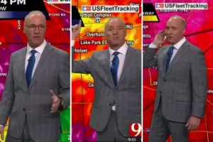 david payne — ZA news