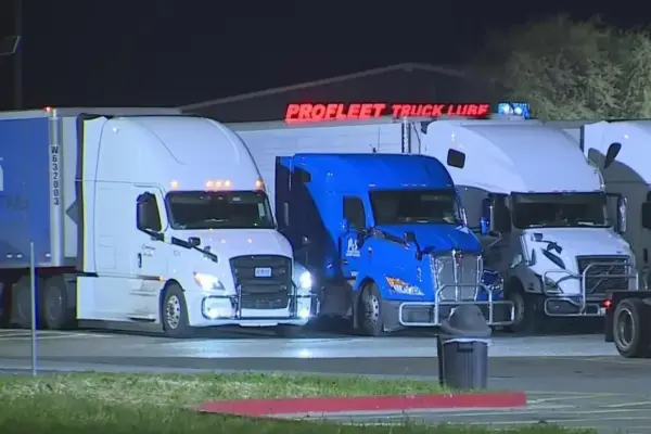 driving licence expiration march — ZA news