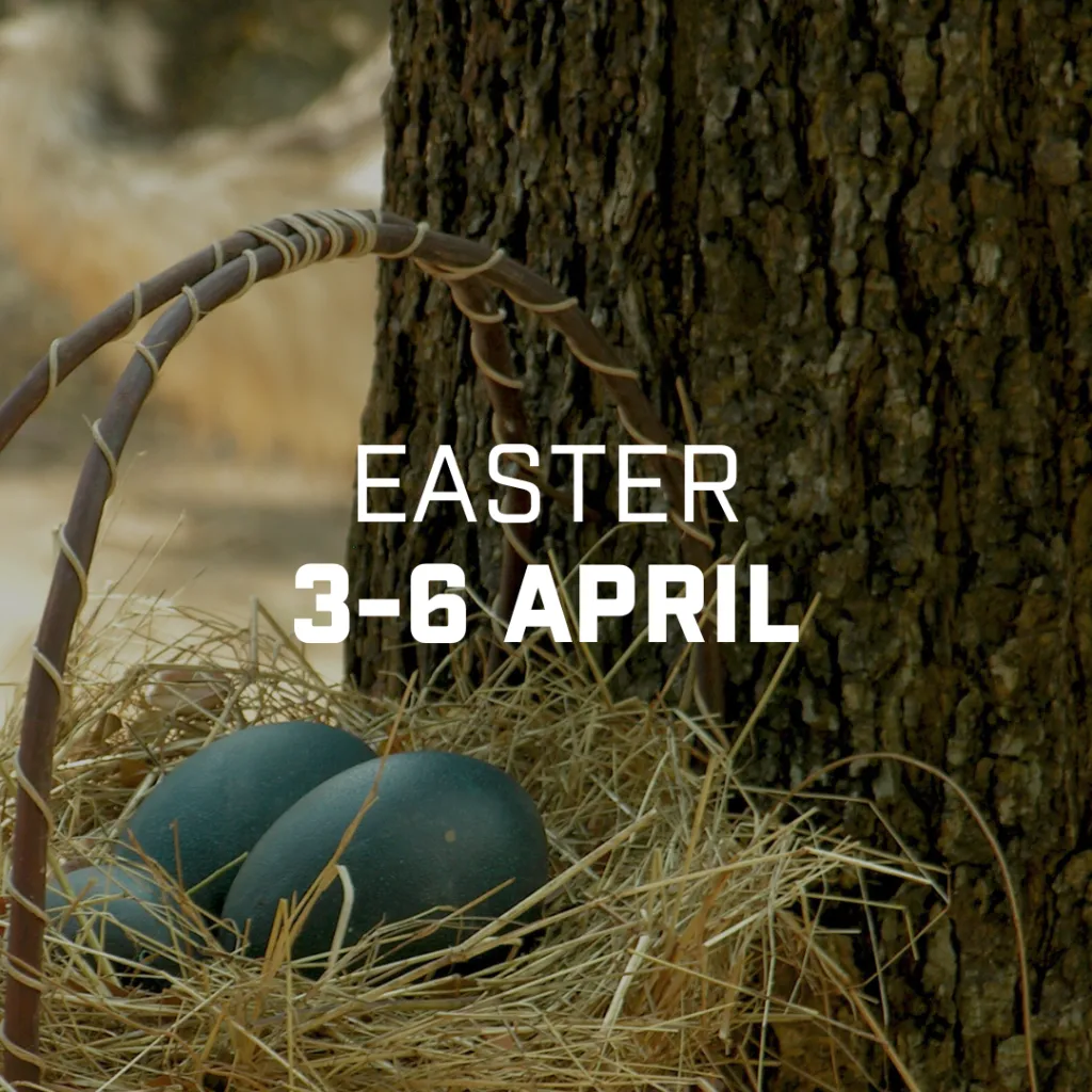 easter weekend 2026 — ZA news