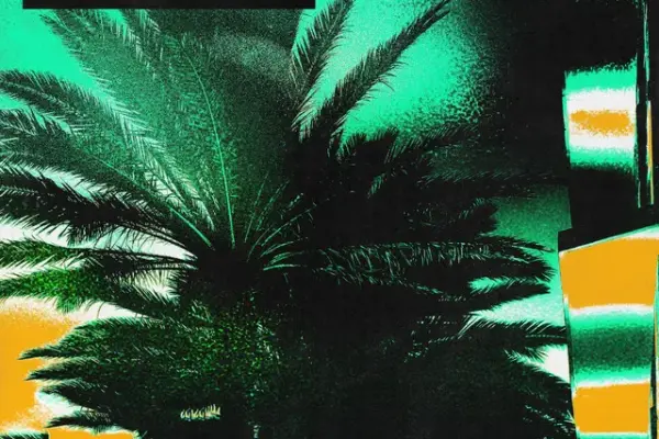 ex parte lekota — ZA news