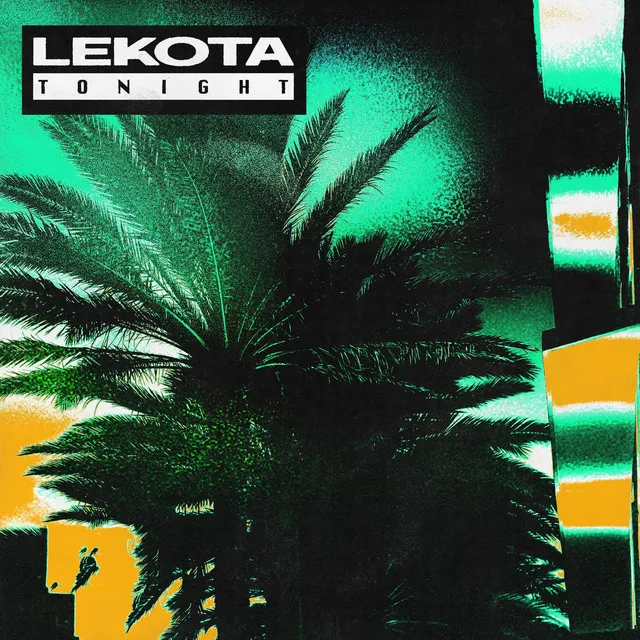 ex parte lekota — ZA news