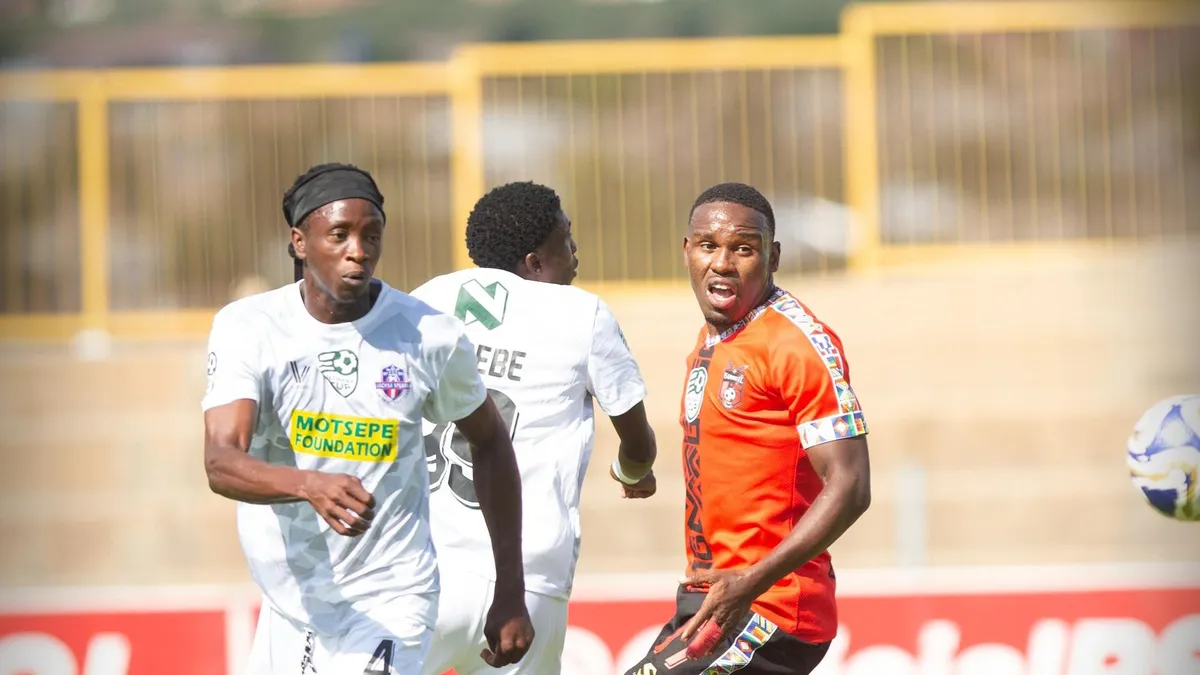 golden arrows — ZA news