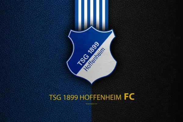 hoffenheim fc — ZA news