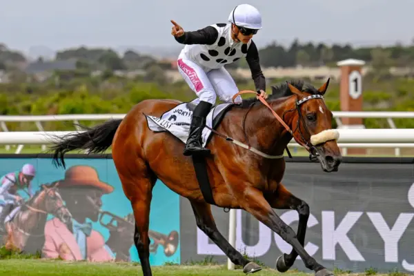 hollywoodbets — ZA news