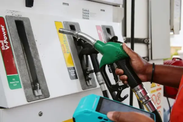 how much is petrol going up by — ZA news
