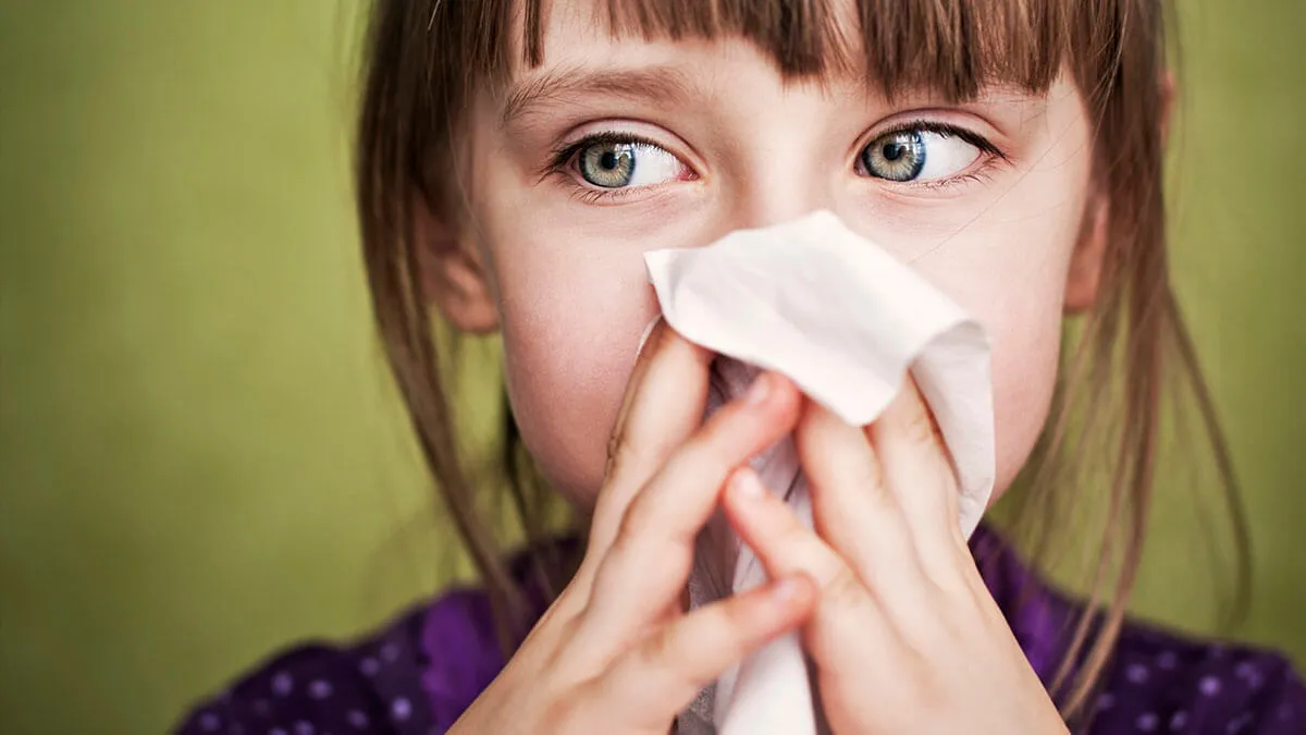 jacob collier — ZA news