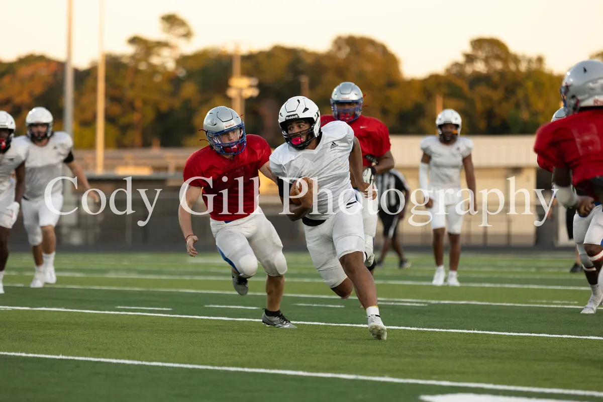 lions vs dragons — ZA news