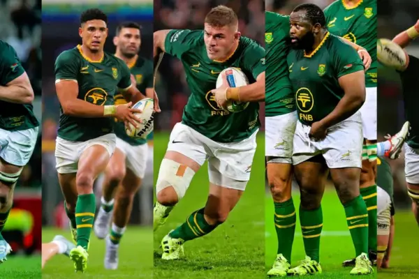 sa rugby awards — ZA news