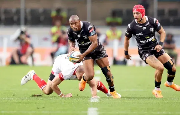 sharks vs cardiff rugby — ZA news