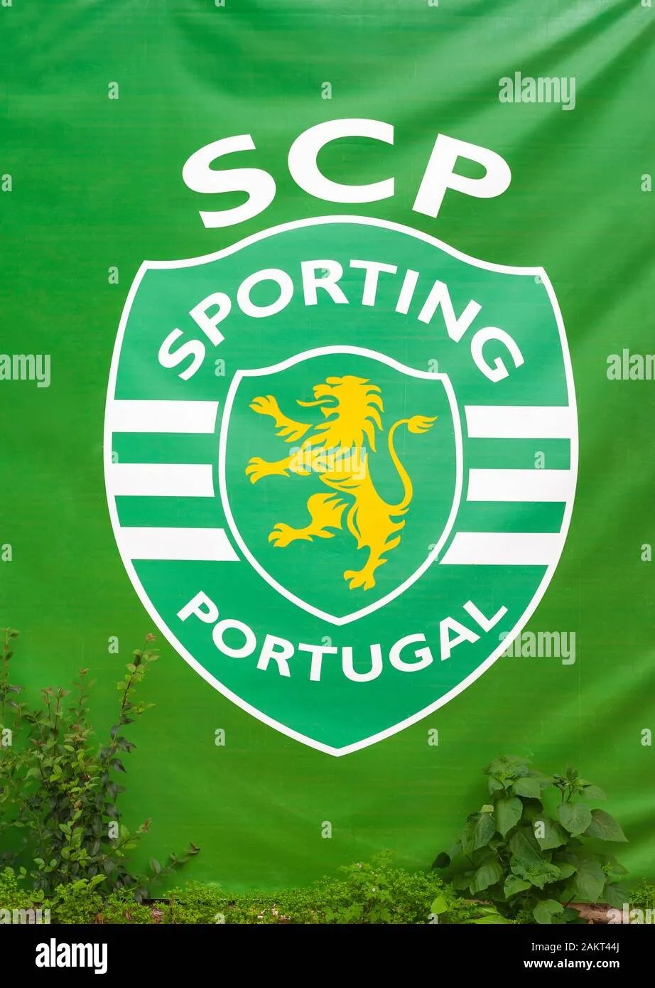 sporting fc — ZA news