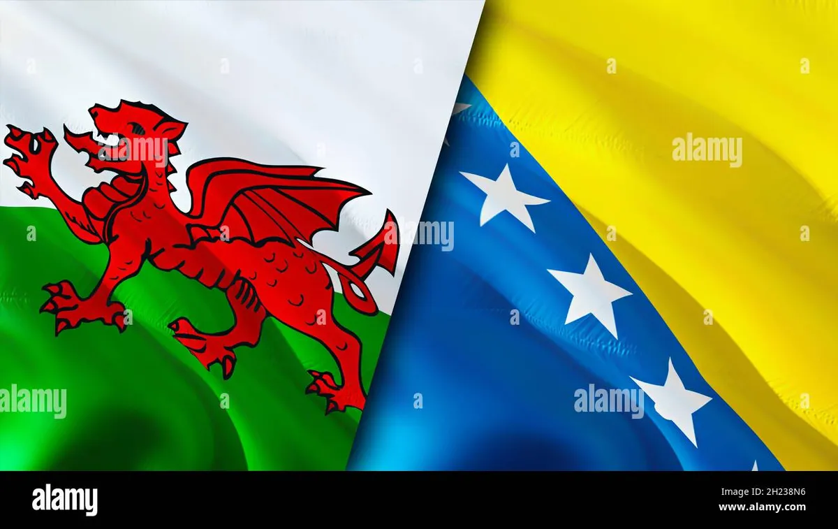 wales vs bosnia and herzegovina — ZA news