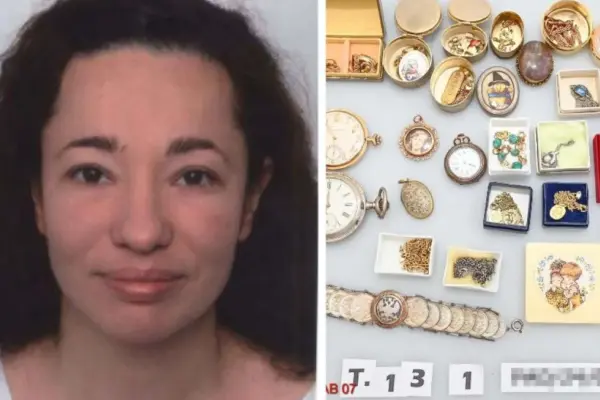 a police captain was arrested for allegedly defrauding millions — ZA news