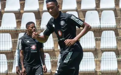 Malaria Cases Surge in Gauteng, South Africa