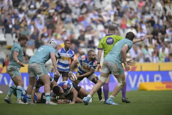 cobus reinach — ZA news