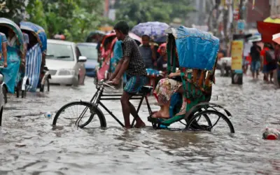 Understanding the Current State of SASSA and Its Impact