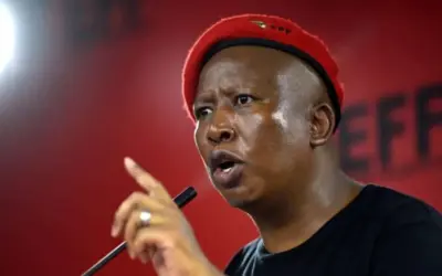 Malaria Cases Surge in Gauteng, South Africa