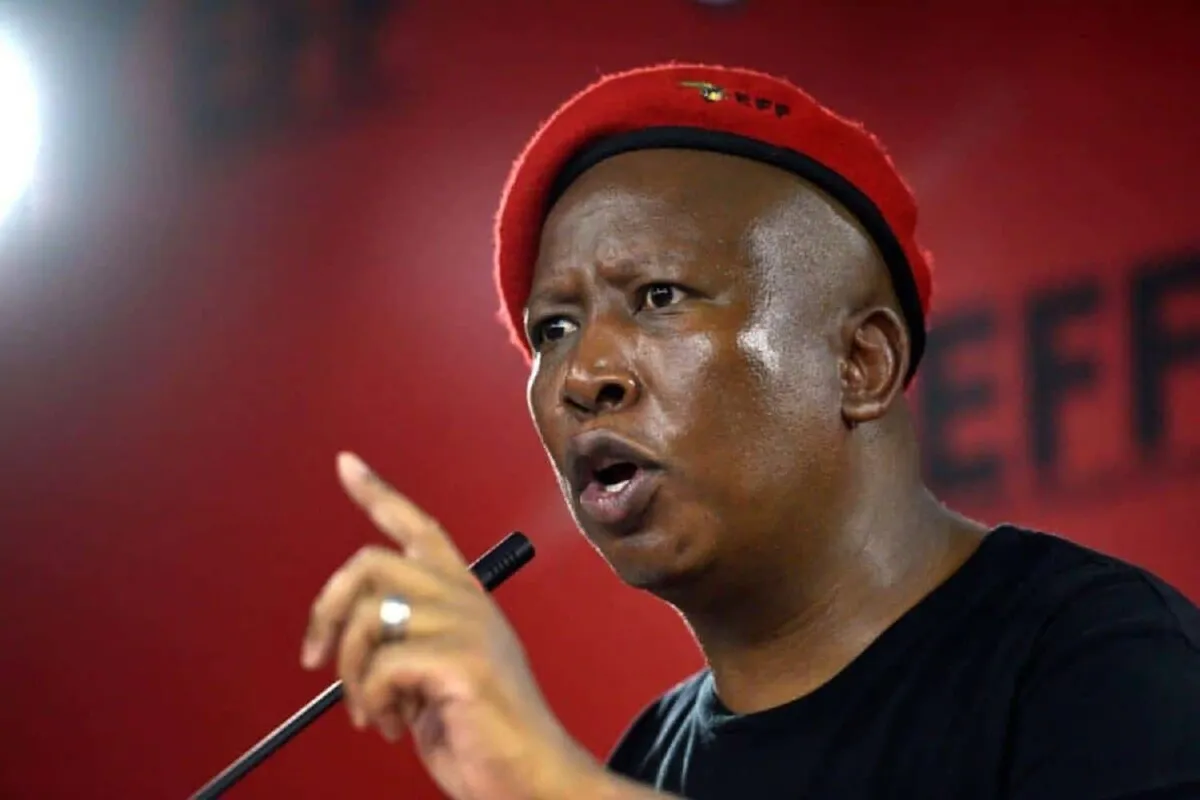 eff julius malema joel cesar — ZA news
