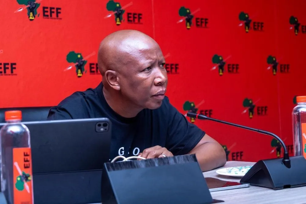 eff malema defamation claim mchunu — ZA news