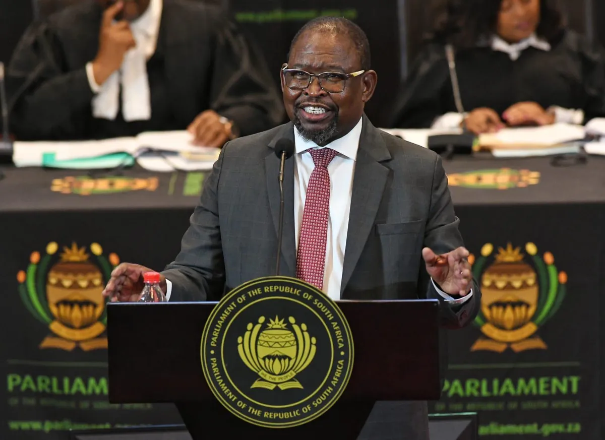 enoch godongwana — ZA news