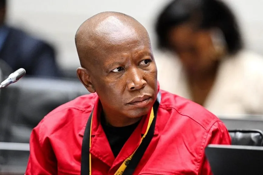 malema defamation lawsuit kunene — ZA news