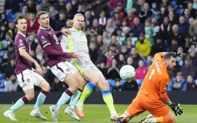 Malaria Cases Surge in Gauteng, South Africa