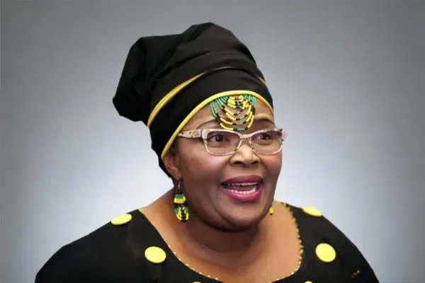 pemmy majodina — ZA news