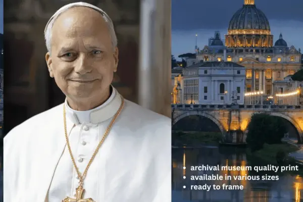 pope leo xiv — ZA news