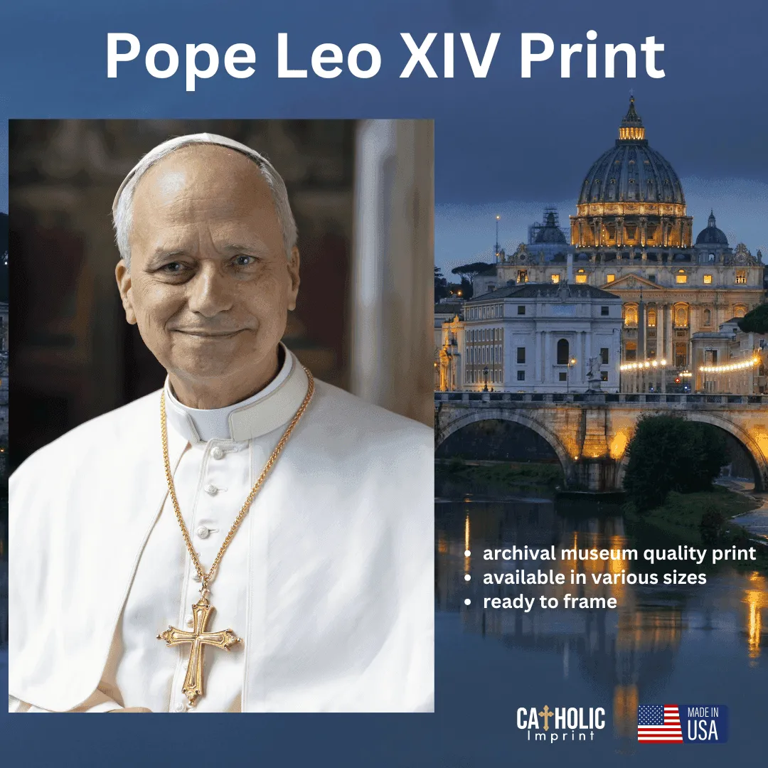 pope leo xiv — ZA news