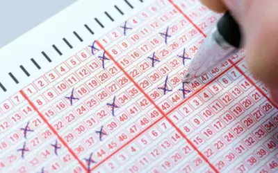 Understanding the Current State of SASSA and Its Impact