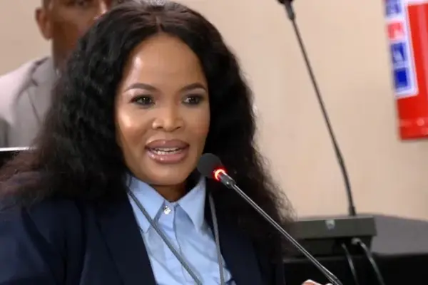 puleng dimpane — ZA news