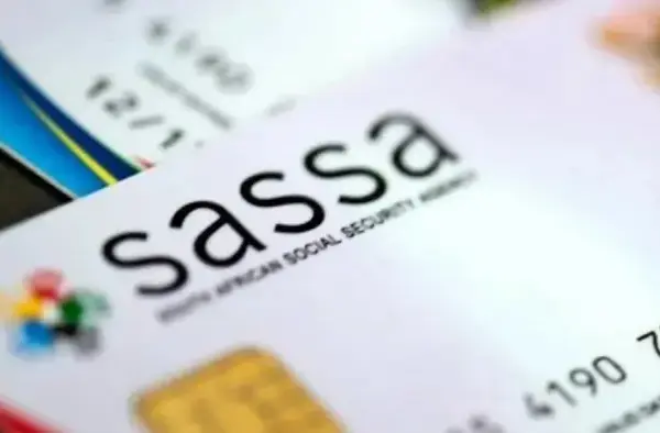 sassa elife certification glitches — ZA news