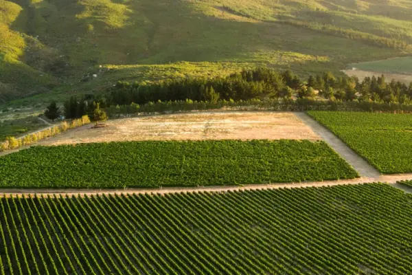 stellenbosch — ZA news