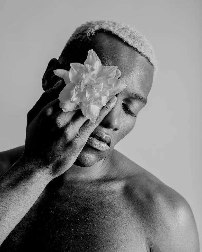 the boys — ZA news