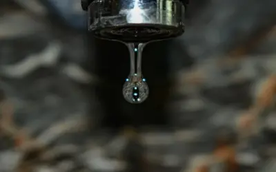 Real Betis Faces Setback in UEFA Europa League Against Panathinaikos