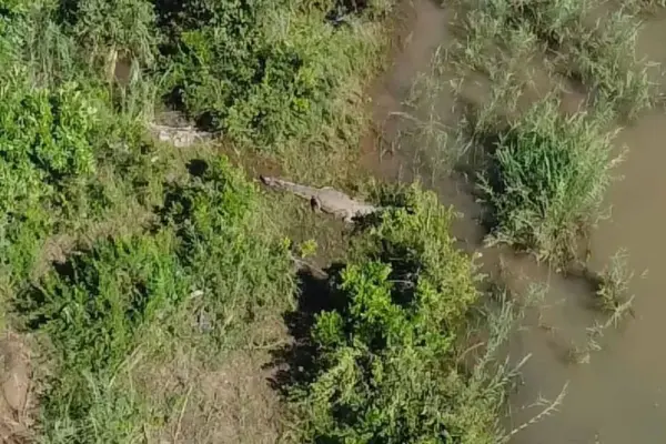 komati river — ZA news