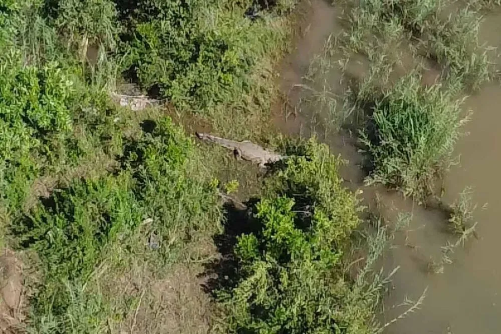 komati river — ZA news